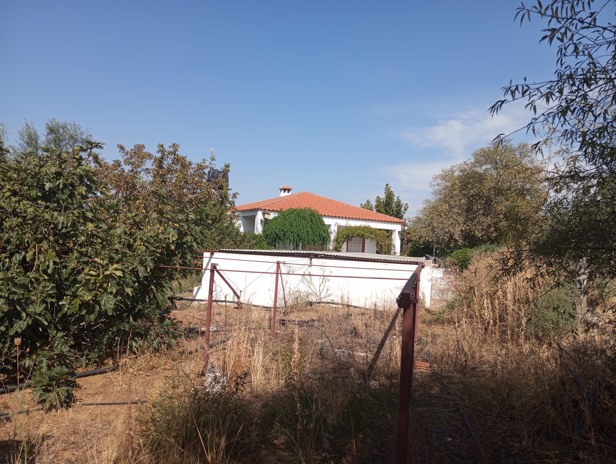 Finca rústica en zona Viñas Nuevas 1