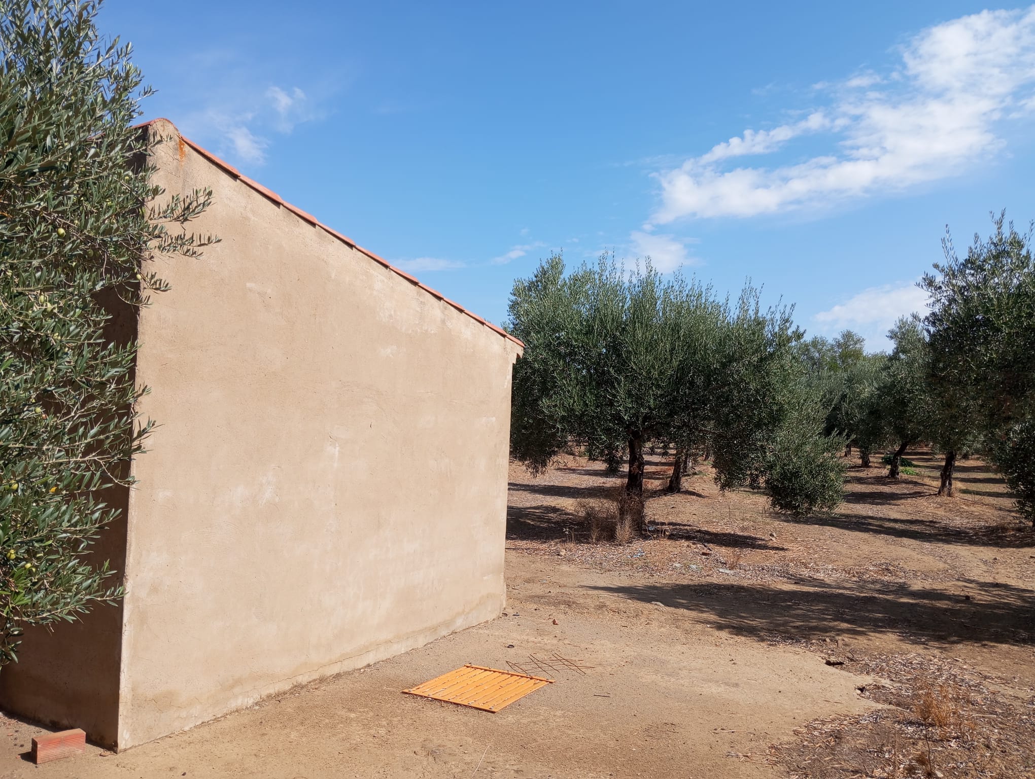 Finca rústica en zona Viñas Nuevas 2