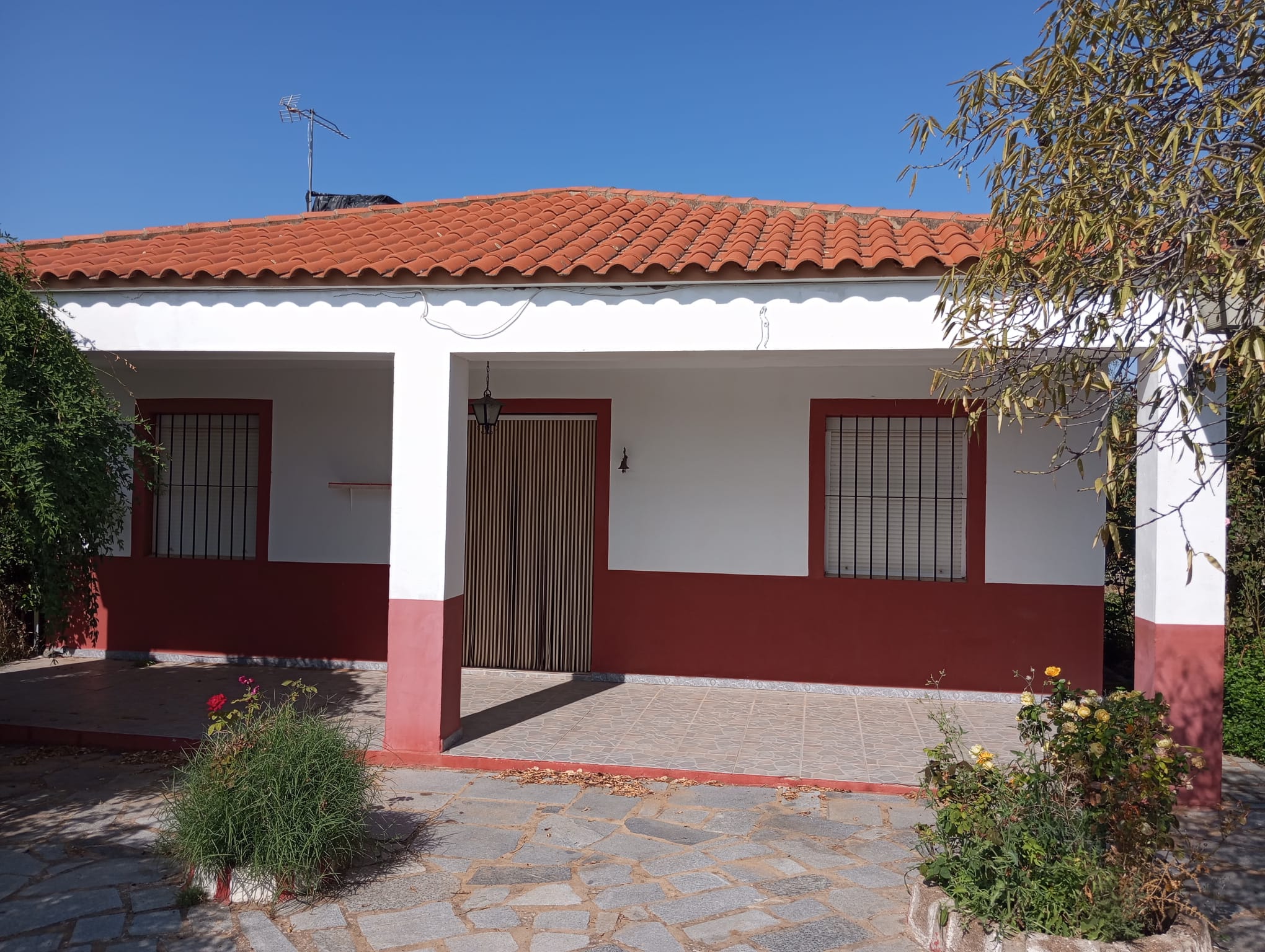 Finca rústica en zona Viñas Nuevas 3