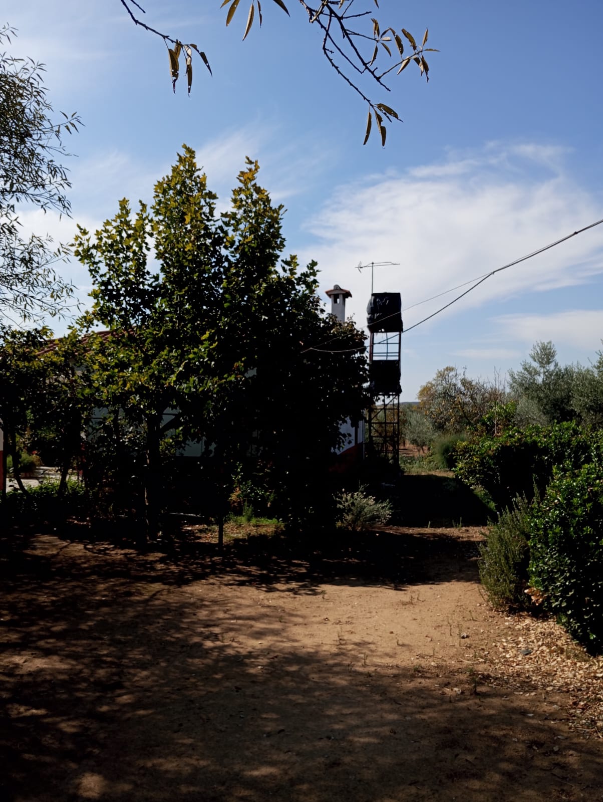 Finca rústica en zona Viñas Nuevas 6